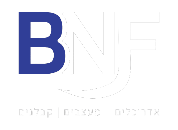 לוגו BNF לבן - רקע שקוף